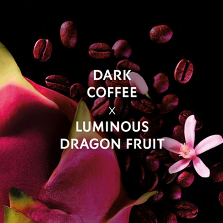 Black opium neon hot sale notes